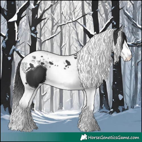 Horse Color:Black Splash Tobiano 