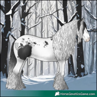 Horse Color:Black Splash Tobiano