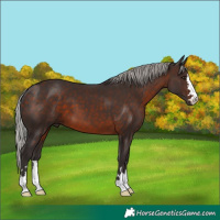 Horse Color:Silver Brown