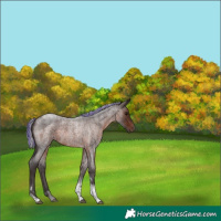 Horse Color:Painted Silver Brown Roan Tobiano 