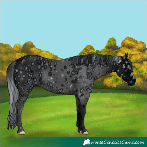 Horse Color:ERROR: UNKNOWN ANOMALY