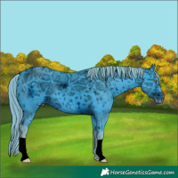 Horse Color:ERROR: UNKNOWN ANOMALY