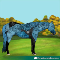 Horse Color:ERROR: UNKNOWN ANOMALY