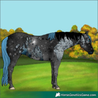 Horse Color:ERROR: UNKNOWN ANOMALY