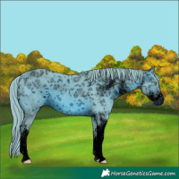 Horse Color:ERROR: UNKNOWN ANOMALY