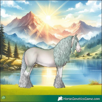 Horse Color:Gray Watercolor Silver Amber Champagne Dun Splash 