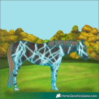 Horse Color:Thunderstruck Midnight Gold Champagne Ice