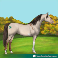 Horse Color:Sable Champagne Dun Tobiano 