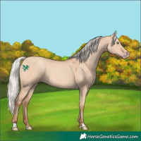 Horse Color:Silver Amber Champagne Dun 
