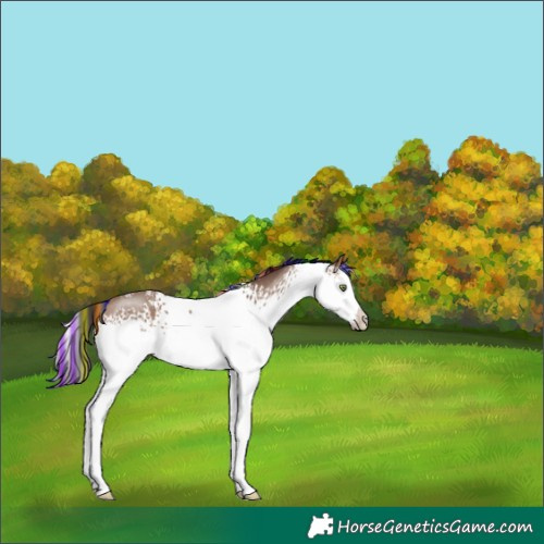 Horse Color:Painted White Spotted Sable Champagne Splash 