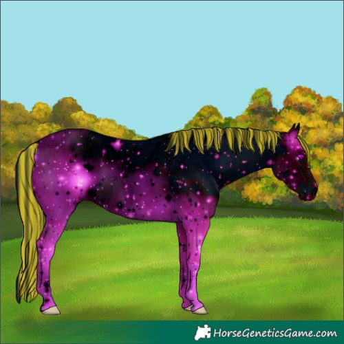 Horse Color:ERROR: UNKNOWN ANOMALY