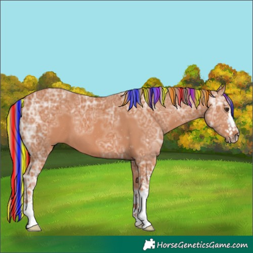Horse Color:Painted White Spotted Chestnut Ice 