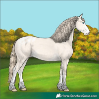 Horse Color:Perlino Dun Varnish Brindle