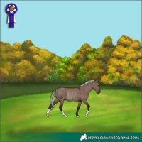 Horse Color:Liver Red Dun Mushroom Rabicano 
