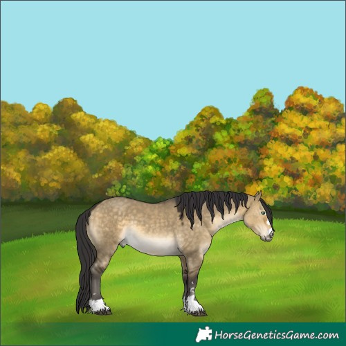Horse Color:Buckskin Dun Mushroom 
