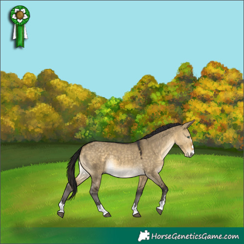 Horse Color:Buckskin Dun Mushroom 