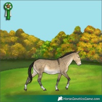 Horse Color:Buckskin Dun Mushroom 