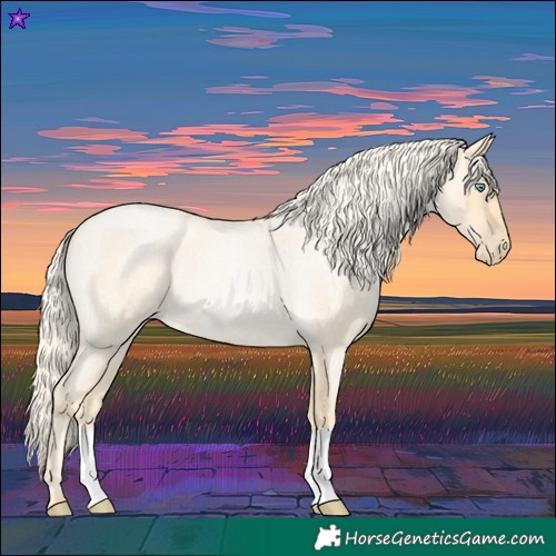 Horse Color:Palomino Roan Pearl and Palomino Roan Pearl