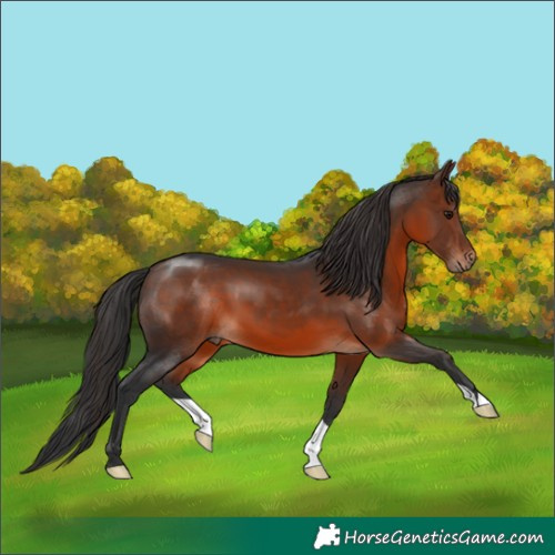 Horse Color:Brown Mushroom 