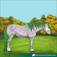 Horse Color:Watercolor Grullo Ice Onyx 