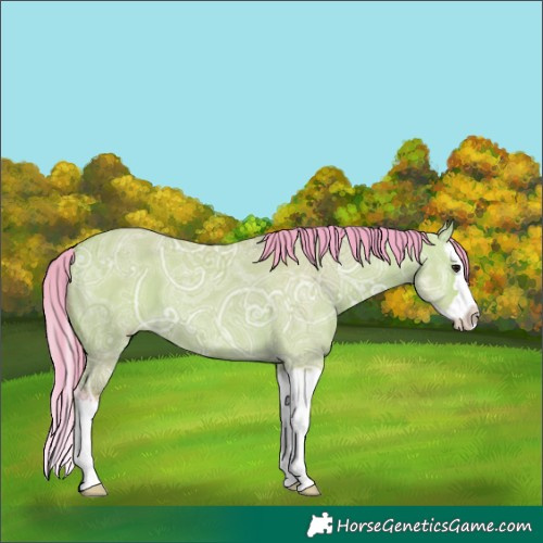 Horse Color:Watercolor Bay Ice Dun Splash 