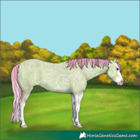 Horse Color:Watercolor Bay Ice Dun Splash 