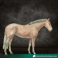 Horse Color:Watercolor Silver Bay Ice 