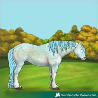 Horse Color:Watercolor Blue Onyx Ice 