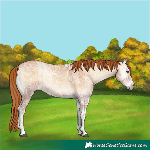 Horse Color:Red Onyx Ice 