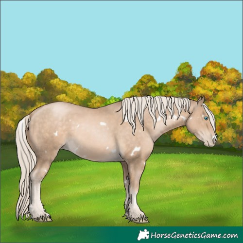 Horse Color:White Spotted Chocolate Palomino Pearl 