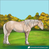 Horse Color:White Spotted Chocolate Palomino Pearl 