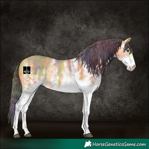 Horse Color:Nacre White Spotted Buckskin Dun
