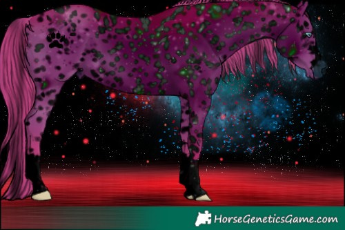 Horse Color:ERROR: UNKNOWN ANOMALY