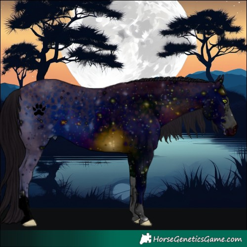 Horse Color:ERROR: UNKNOWN ANOMALY