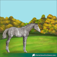 Horse Color:Silver Black Sabino