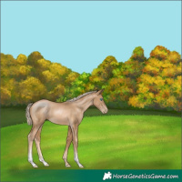 Horse Color:Chocolate Palomino Pearl Mushroom Sabino