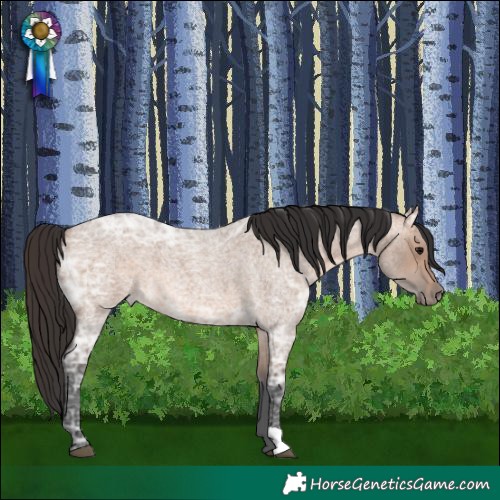Horse Color:Brown Ice Roan Dun 