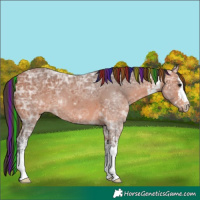 Horse Color:Painted White Spotted Bay Ice 