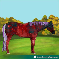 Horse Color:ERROR: UNKNOWN ANOMALY