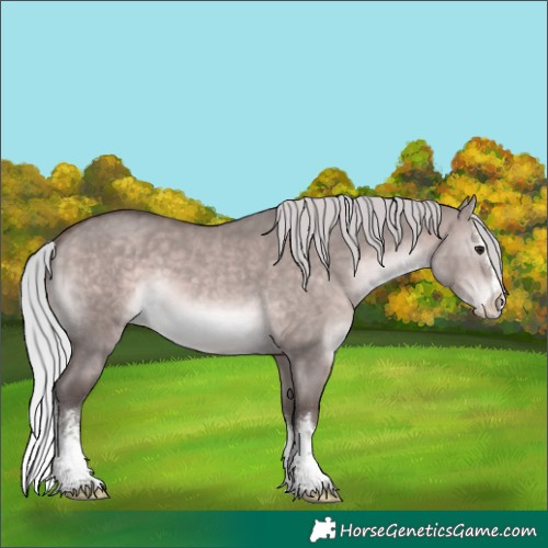 Horse Color:Platinum White Spotted Silver Brown Dun Splash 