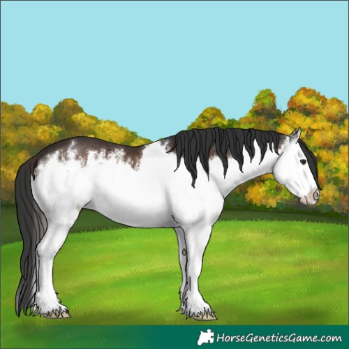 Horse Color:White Spotted Liver Chestnut Splash 