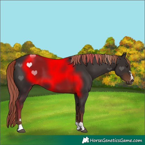 Horse Color:Liver Chestnut 