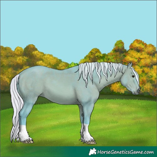 Horse Color:Watercolor Silver Bay 
