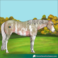 Horse Color:Watercolor Silver Brown Sabino