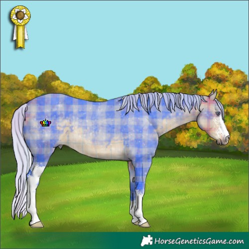 Horse Color:Watercolor Plaid  Silver Buckskin Chinchilla Sabino 