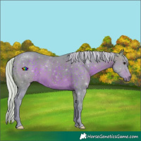 Horse Color:Watercolor Silver Brown 