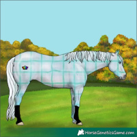 Horse Color:Watercolor Plaid Silver Brown Chinchilla Dun