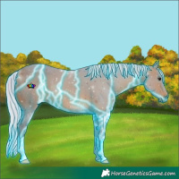 Horse Color:Thunderstruck Watercolor Silver Brown