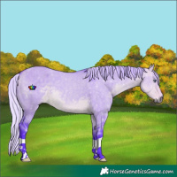 Horse Color:Watercolor Silver Buckskin Chinchilla Dun 