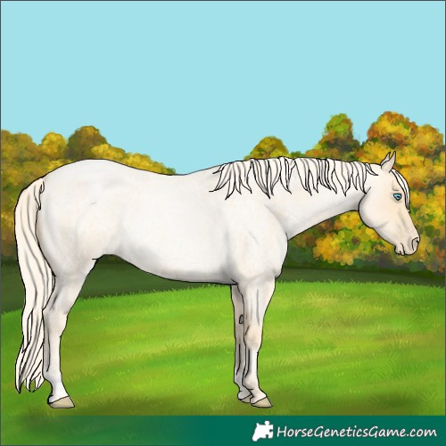 Horse Color:Palomino Roan Pearl and Palomino Roan Pearl